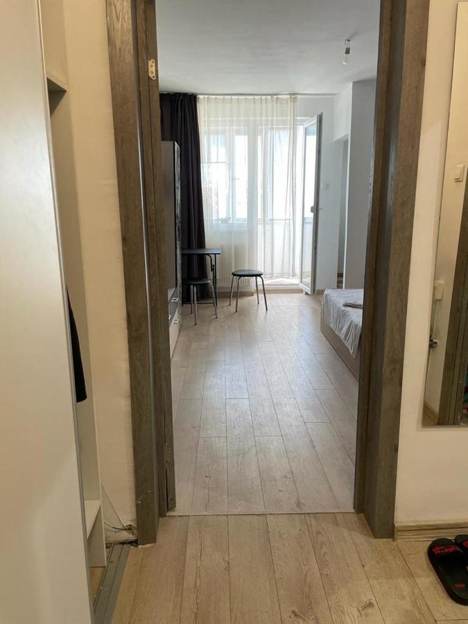 Bega Cirumvalatiunii One Room Apartment- 4 Timisoara Exterior foto