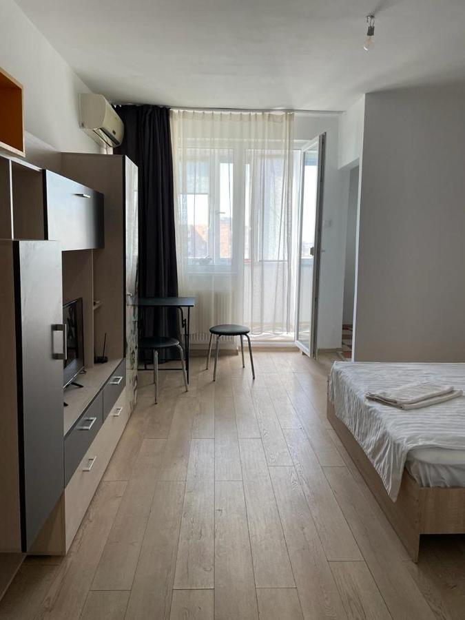 Bega Cirumvalatiunii One Room Apartment- 4 Timisoara Exterior foto