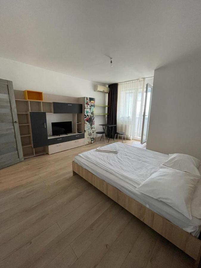 Bega Cirumvalatiunii One Room Apartment- 4 Timisoara Exterior foto